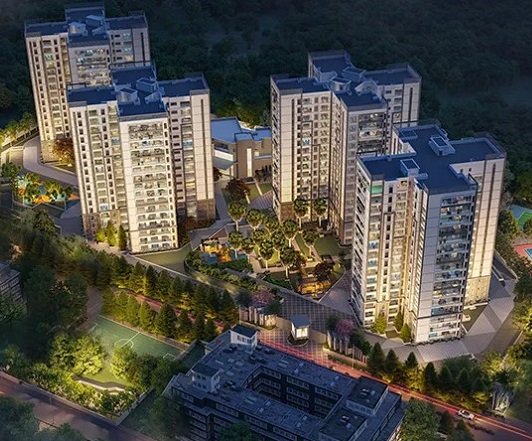 prestige-pine-forest-banner